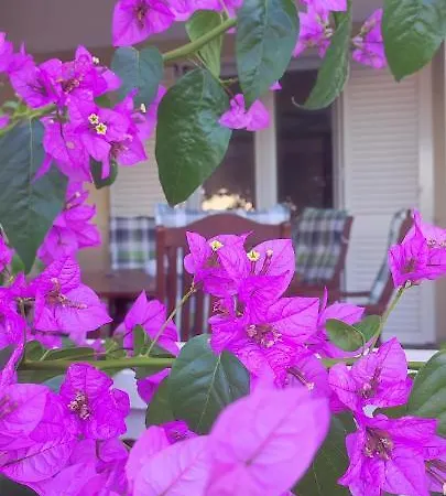 Garden * 佩特坎内