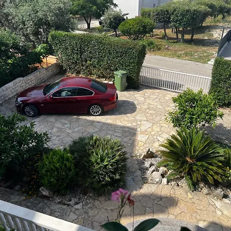 Garden *