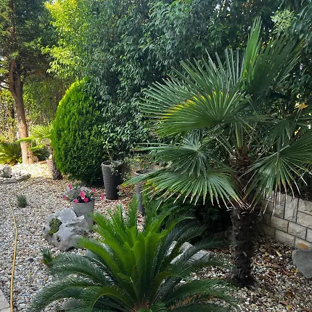 Garden 佩特坎内